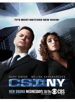 CSI New York Season 6 ไขคดีปริศนา นิวยอร์ค ปี 6 DVD MASTER 7 แผ่นจบ พากย์ไทย/อังกฤษ บรรยายไทย